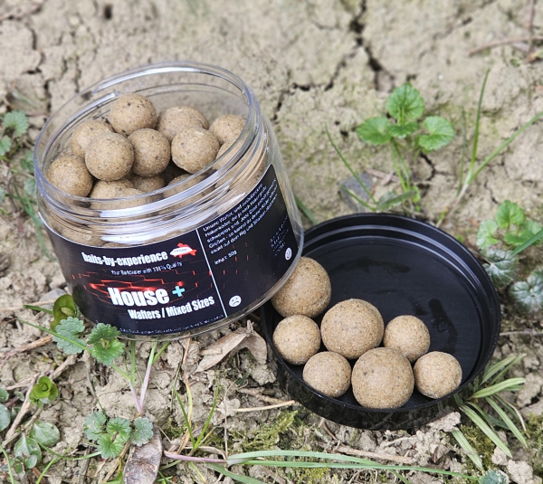 Balanced Wafter House+ (Mixed Sizes)