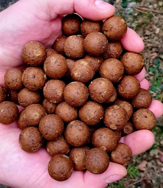 Kürbiskern Boilies (shelf life)