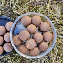 Balanced Wafters Highpro-T